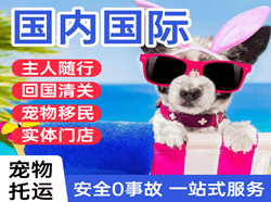 银川河东机场货运国际宠物托运 【国